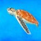 Sea Turtle Poster Print by Atelier B Art Studio - Item # VARPDXBEGANI274